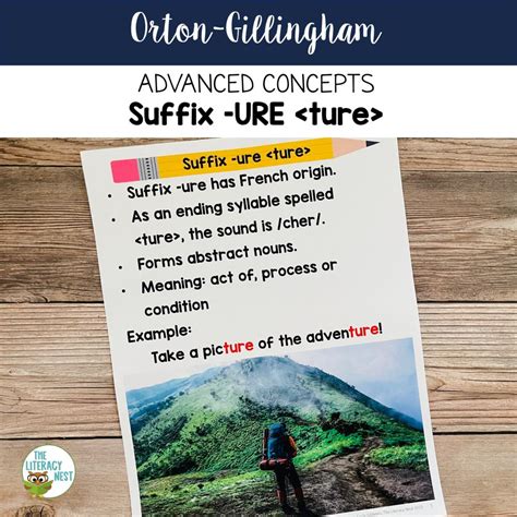 Suffix -URE for Advanced Orton-Gillingham Activities - The Literacy Nest