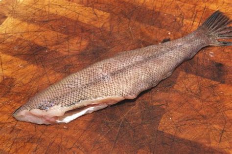 How to Cook Sand Dab, the Pacific's Littlest Flounder | Sanddab recipe ...