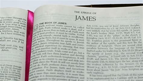 Berean Advocate: The Epistle of James