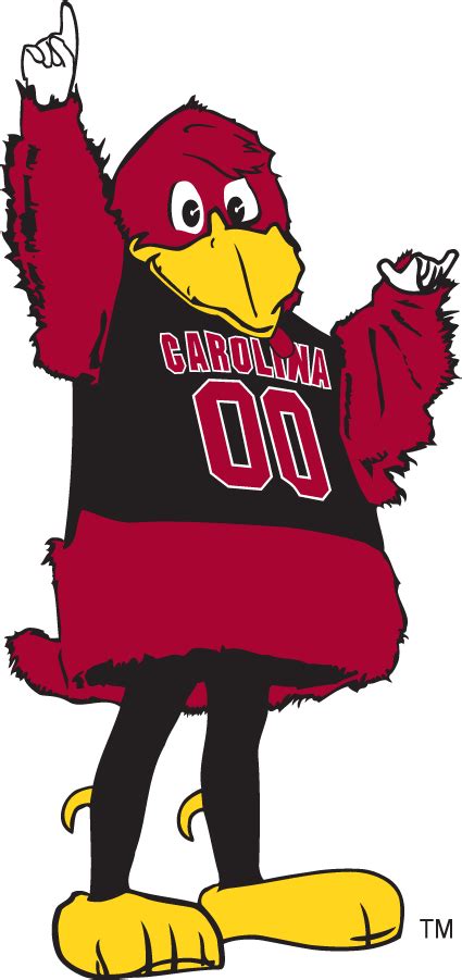 South Carolina Gamecocks Logo - Mascot Logo - NCAA Division I (s-t ...