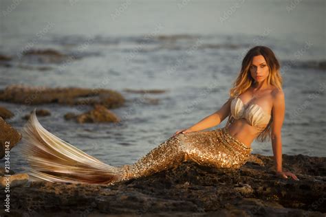 Beautiful mermaid sitting on a rock Stock Photo | Adobe Stock