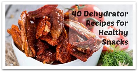 40 Dehydrator Recipes for Healthy Snacks - Natural Holistic Life