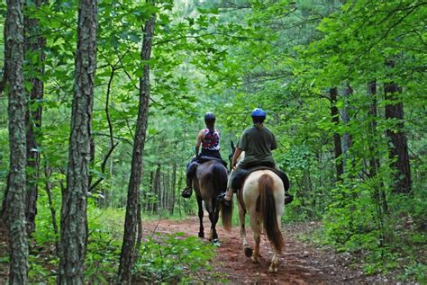 Hard Labor Creek State Park With Kids: What They'll Love