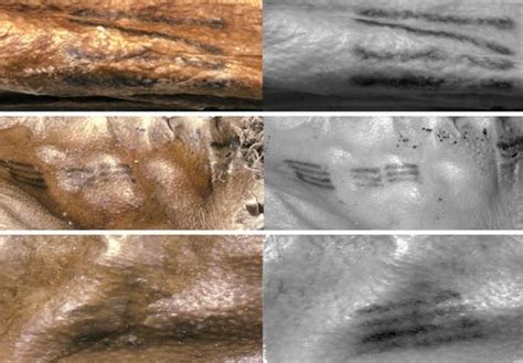 Mapping 61 Ancient Tattoos on a 5,300-Year-Old Mummy