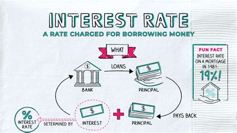 What's an Interest Rate? Napkin Finance Answers All Your Questions!