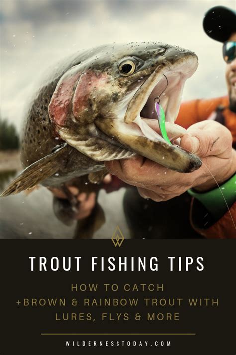 Trout Fishing Tips: How to Catch Rainbow & Brown Trout | Trout fishing ...