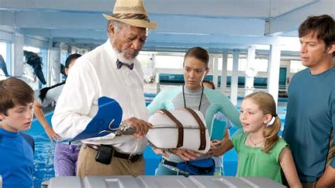 Dolphin Tale Movie Review | Common Sense Media