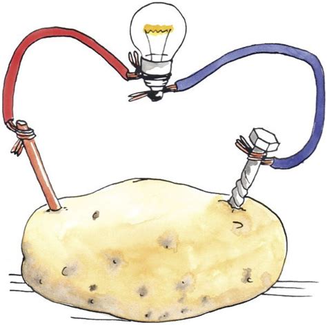 how to make a potato powered light bulb - Google Search Diy Science ...