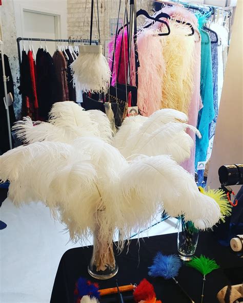 1st Quality XL Individual Female Ostrich Feathers – KOLUNTU