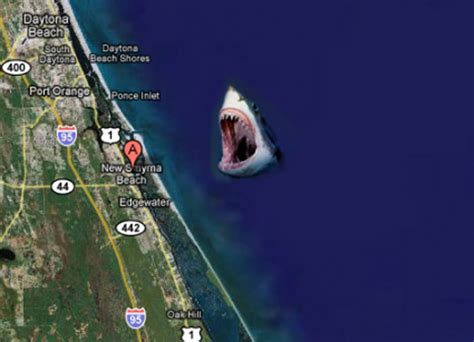 New Smyrna Beach Asserts Itself as Shark Attack Capital of World ...