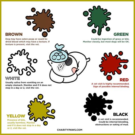 The Complete Dog Vomit Color Guide {Gross But Needed}