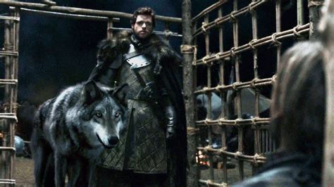 The Best Game of Thrones Pet Names | Healthy Paws