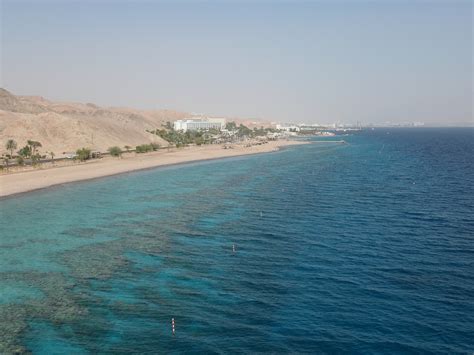 Desert dusts convert coral reefs into carbon storage - School of the ...