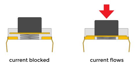 How to Connect and Program Push Buttons on the Arduino - Circuit Basics