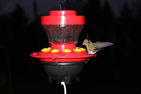 Hummers Heated Delight > The Original Heated Hummingbird Feeder