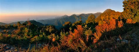 Eaglenest Wildlife Sanctuary: A cradle of biodiversity – Eagle Nest ...