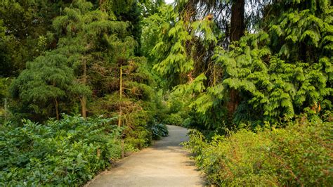 Münster Botanical Garden, Münster Vacation Rentals: house rentals ...