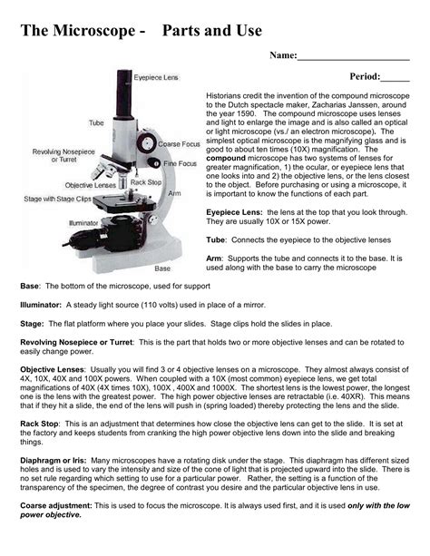 Microscope Parts And Use Worksheet – Pro Worksheet