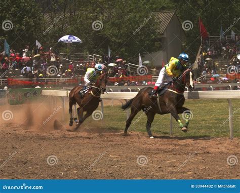 Two Horses at Race editorial photography. Image of outdoors - 33944432