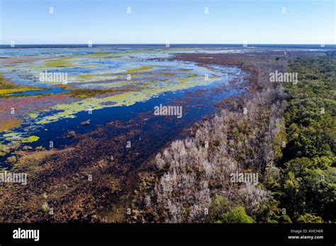 Gainesville Florida,Payne's Prairie Preserve State Park,savanna basin ...