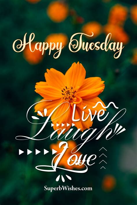 Happy Tuesday 2024 Images - Live, Laugh & Love | SuperbWishes.com