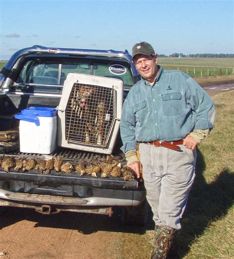 Texas Quail Hunting | Jason Catchings