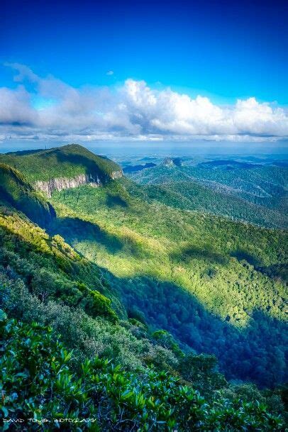 Springbrook National Park, QLD