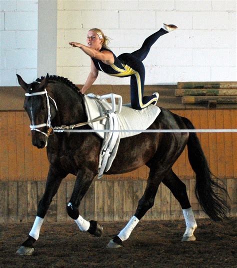 Equestrian vaulting, or simply Vaulting, is most often described as ...