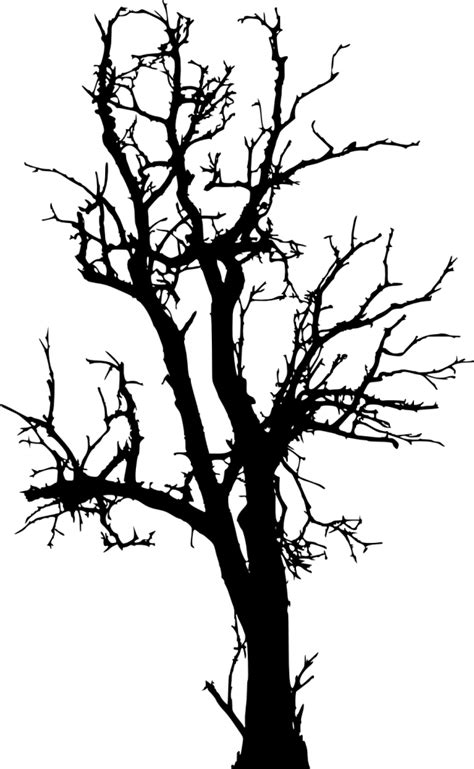 17 Dead Tree Silhouette (PNG Transparent) | OnlyGFX.com