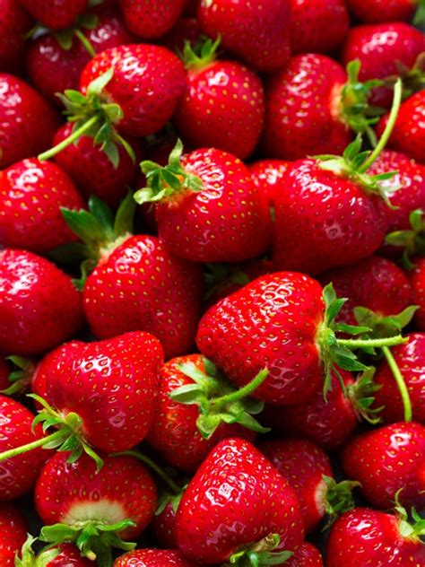 Types Of Strawberry Plants - Information About Different Strawberries ...