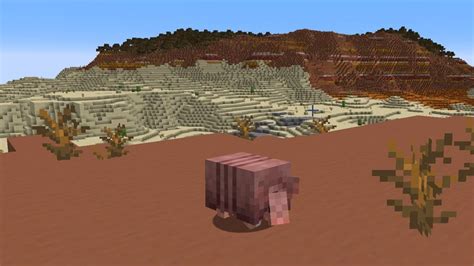 Minecraft Armadillo guide: Update release date, Wolf Armor, Scute ...