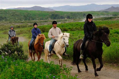 Reykjavík Horse Riding Tour | Arctic Adventures