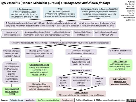 IgA Vasculitis – Henoch Scholein Purpura: Pathogenesis and Clinical ...