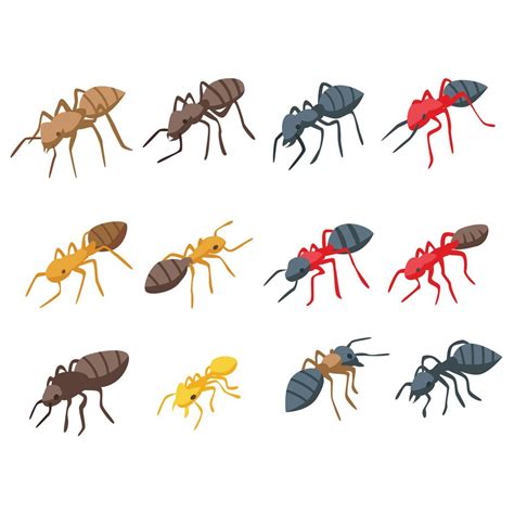 How to Identify Different Types of Ants | Family Handyman