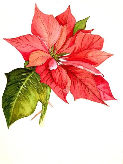 Poinsettia Painting | Christmas artwork, Watercolor christmas cards ...