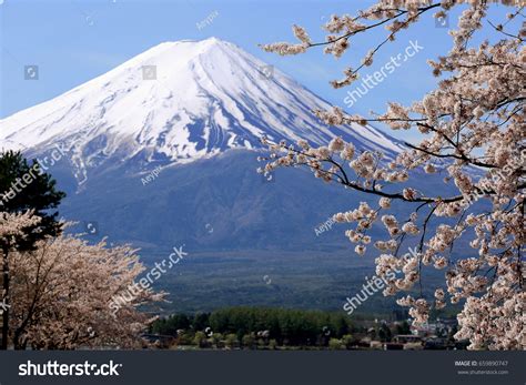 Mount Fuji Cherry Blossom Lake Kawaguchiko Stock Photo 659890747 ...