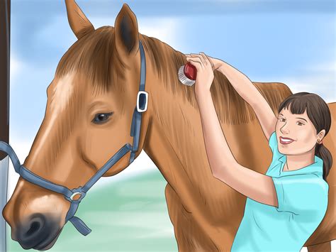 How to Deal With a Mare in Heat: 12 Steps (with Pictures)