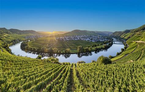 Your 2024 guide to Mosel wine region | Winetourism.com