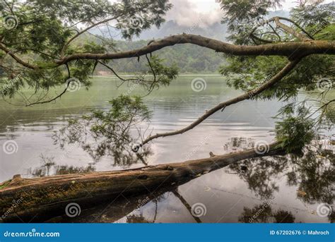 Telaga Warna Scene, Dieng Plateau, Java Indonesia Stock Photo - Image ...