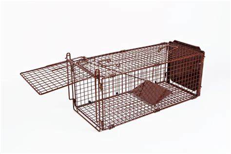 Heavy Duty Possum Trap - Pestrol Pro