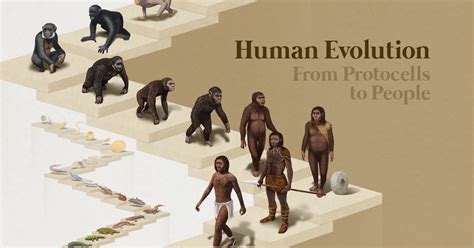 Visualized: The 4 Billion Year Path of Human Evolution