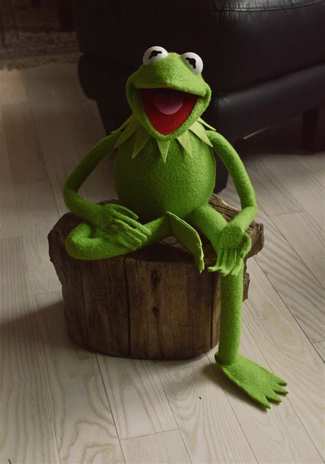 ecl's Kermit the Frog Puppet Replica (using my newest patterns) | RPF ...