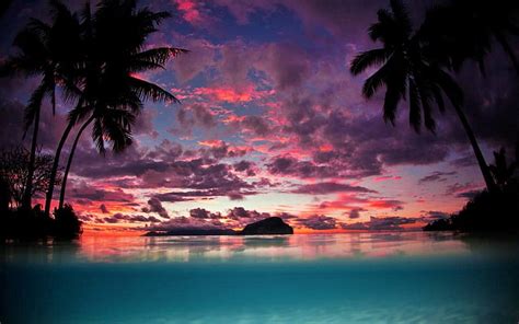 HD wallpaper: landscape, palm trees, sunset, silhouette, tropical ...