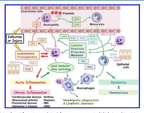 Figure 1 from Resolvins and protectins in inflammation resolution ...