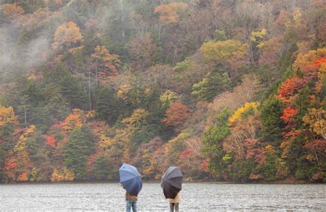 Fall Colors in Japan: Best Autumn Leaves Destinations To Visit