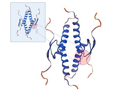 Rare Mutation of TP53 Gene Leaves People at Higher Risk for Multiple ...