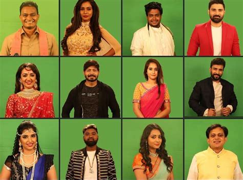 Bigg Boss Telugu 2 contestants list: Here are profiles and pictures of ...