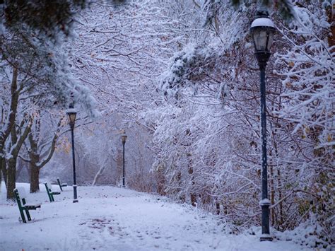 Snowy park in the winter | Free Photo - rawpixel