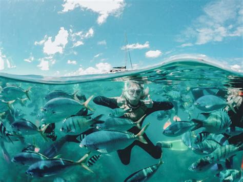 Snorkeling en Moreton Island