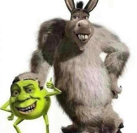 Shrek and Donkey + Mike Wazowski and James P. Sullivan = | Fandom